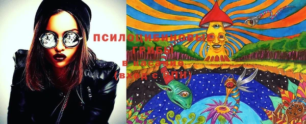 ешки Нягань