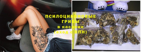 индика Нязепетровск