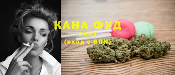 индика Нязепетровск