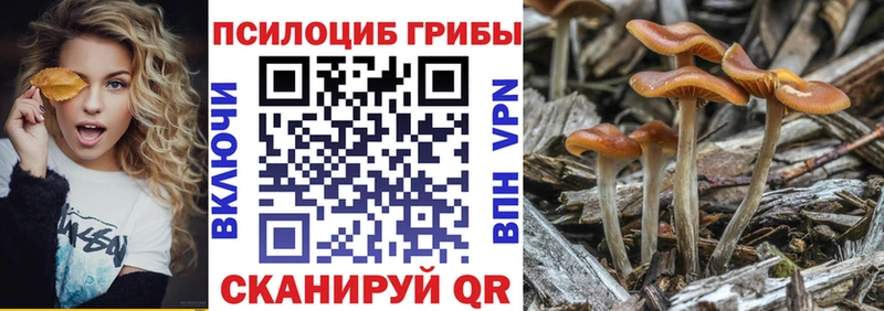 как найти закладки  блэк спрут как войти  Галлюциногенные грибы ЛСД  Алдан 